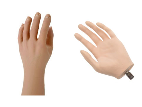 cosmetic hand